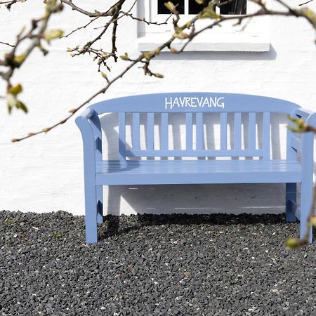 Havrevang, Ferielejligheder Lønstrup エクステリア 写真